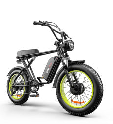C91-20 Inch Dual-drive High-speed Electric Bike capnig