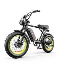 C91-20 Inch Dual-drive High-speed Electric Bike capnig
