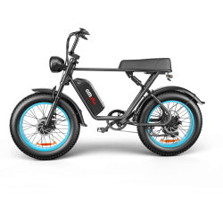C91-20 Inch Dual-drive High-speed Electric Bike capnig