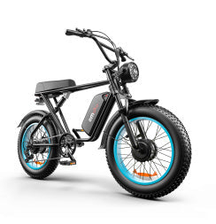 C91-20 Inch Dual-drive High-speed Electric Bike capnig