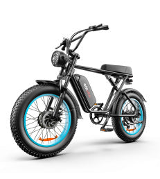 C91-20 Inch Dual-drive High-speed Electric Bike capnig