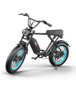 C91-20 Inch Dual-drive High-speed Electric Bike capnig
