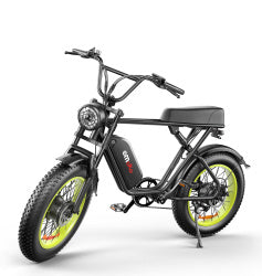 C91-20 Inch Dual-drive High-speed Electric Bike capnig