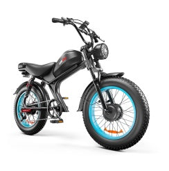 C93- Dual-drive High-speed Electric Bike Smart Life