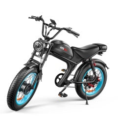 C93- Dual-drive High-speed Electric Bike Smart Life