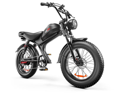 C93- Dual-drive High-speed Electric Bike Smart Life