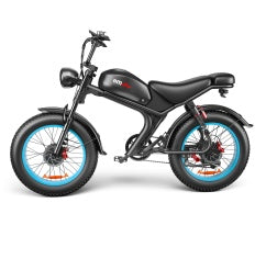 C93- Dual-drive High-speed Electric Bike Smart Life
