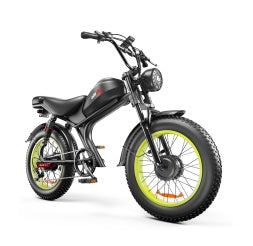 C93- Dual-drive High-speed Electric Bike Smart Life