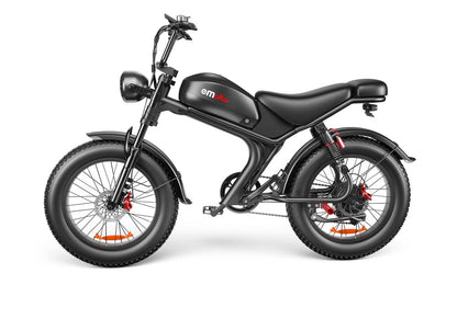 C93- Dual-drive High-speed Electric Bike Smart Life